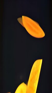 Vertical video Delicious slices mango, floating in the air, food professional video on black background
