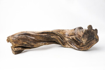 Horizontal twisted forest root with natural texture and organic shape. Isolated wood element from tropical jungle, perfect for nature-themed design and rustic composition.