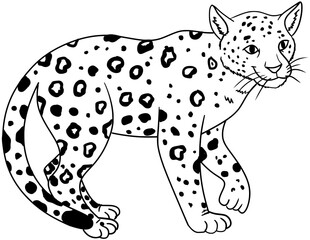 Jaguar Vector Outline Line Art Illustration Drawing