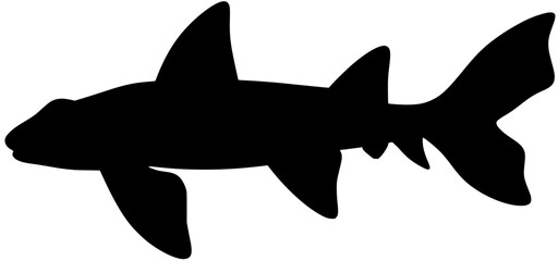 Horn Shark Silhouette Vector Shadow Illustration