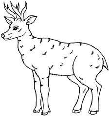 Huemul Deer Vector Outline Line Art Reindeer Drawing