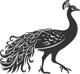 Black vector design silhouette of a peacock drawing
