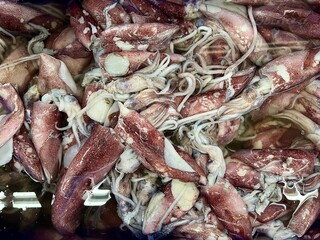 Fresh squids in container display in the supermarket	
