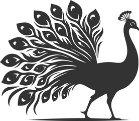 Black vector design silhouette of a peacock drawing