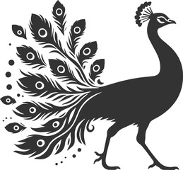 Black vector design silhouette of a peacock drawing