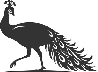 Black vector design silhouette of a peacock drawing
