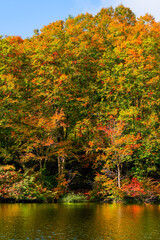 仙人池　秋　紅葉