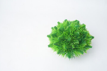 Top View of Artificial Pine Ball Plant on White Background – Minimalist Decorative Greenery for Interior Design and Visual Concepts