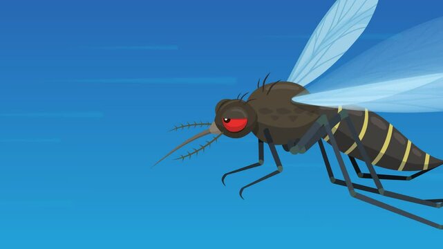 Animation loop of an aggressive tiger mosquito flying fast in a blue sky (close-up view)