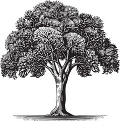 large mature tree stands tall with a complex branching structure.