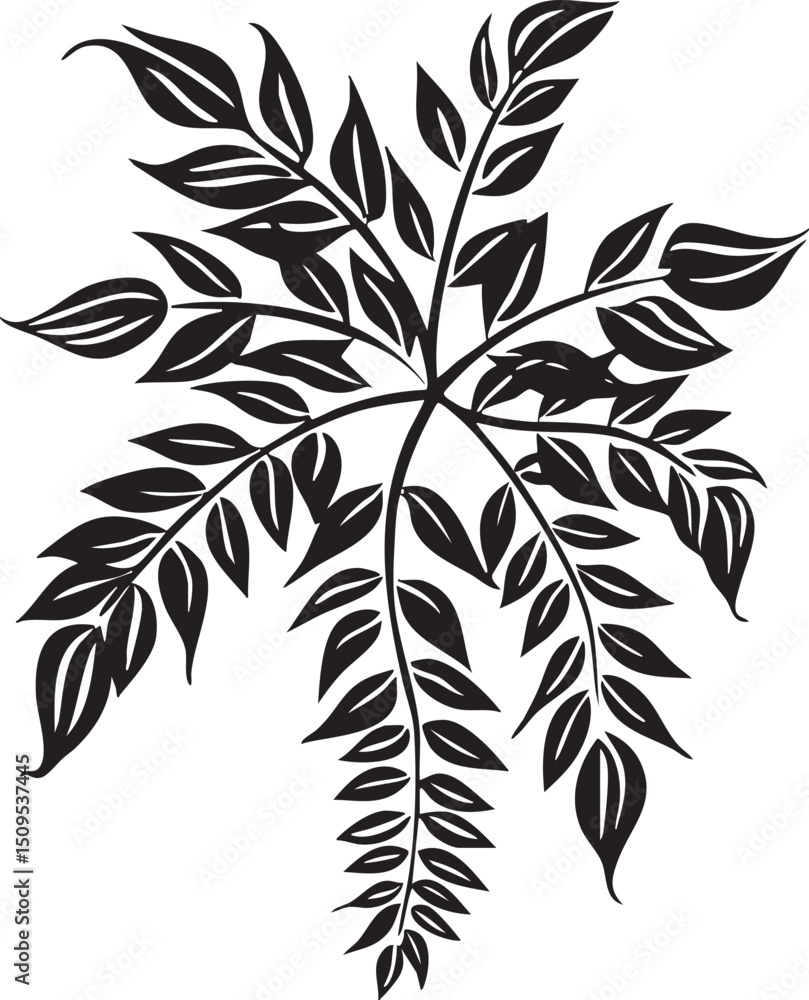 Poster delicate branch with numerous trailing leaves forms a graceful symmetrical .