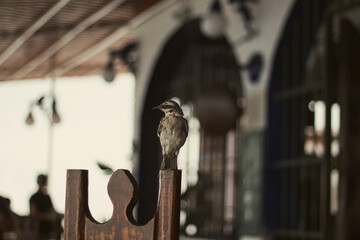 Beach landscapes in summer. Ballenita Beach in the province of Santa Elena, Ecuador. You can see the sea, birds, and beach or sailing motifs.