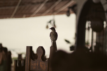 Beach landscapes in summer. Ballenita Beach in the province of Santa Elena, Ecuador. You can see the sea, birds, and beach or sailing motifs.