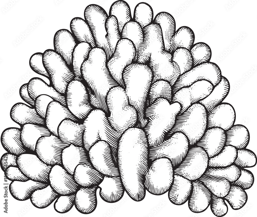 Poster dense cluster of stylized coral forms creates a complex textured .