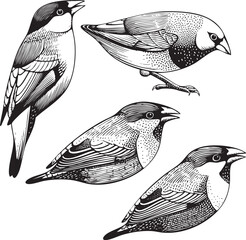 Obraz premium Four stylized birds are depicted in a detailed black and white .