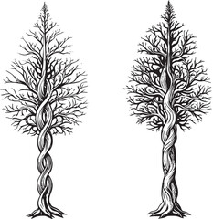 Obraz premium Two stylized trees display a spiraling intertwined trunk .
