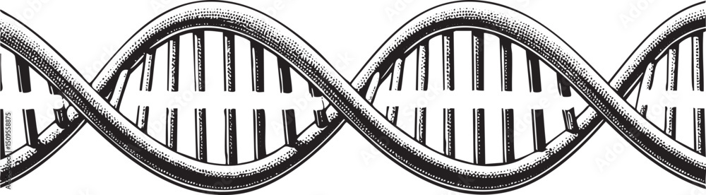 Poster two intertwined strands of a double helix form a dna structure.