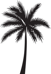 Obraz premium solitary palm tree stands tall against a white background.