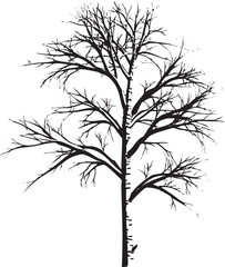 Obraz premium solitary tree stands stark against a white background.