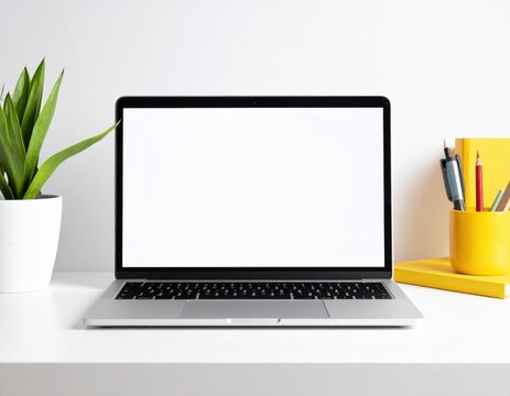 Minimalist workspace featuring a laptop plant and stationery on a clean white desk