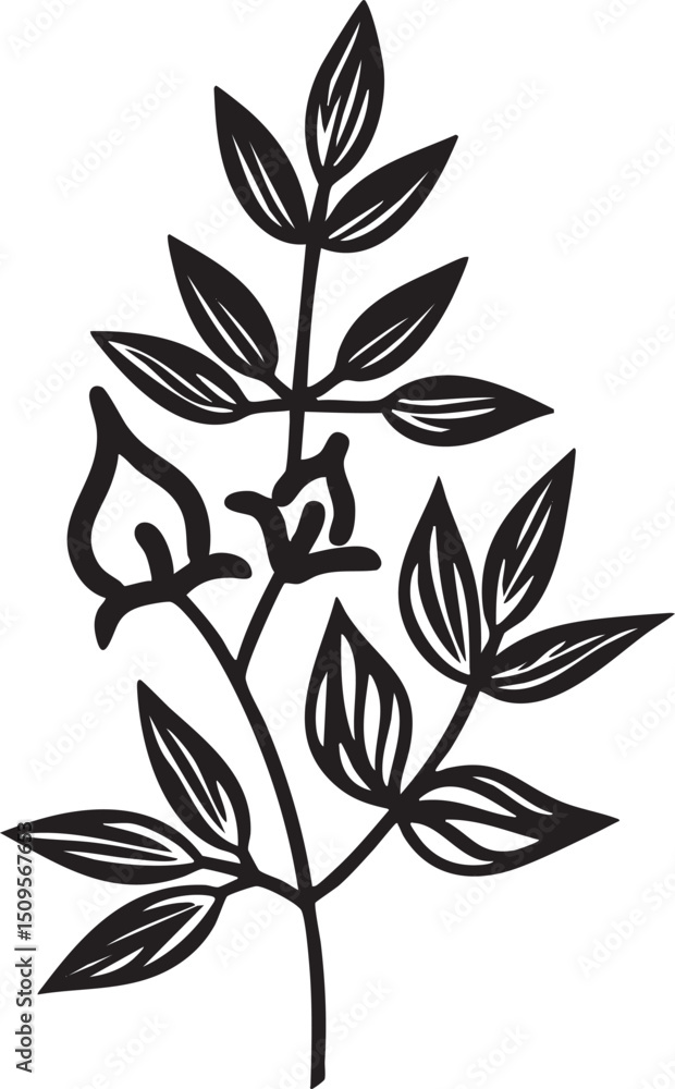 Poster delicate branch with multiple leaves extends upwards forming a simple linear .