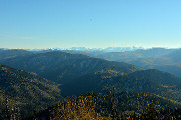 Fototapeta premium Endless mountain ranges covered with dense coniferous forest and snow-capped peaks in the distance on a sunny autumn day.