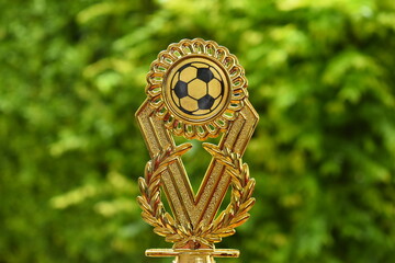 beautiful golden trophy of football contest on green tree background