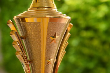 beautiful golden trophy of football contest on green tree background