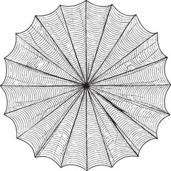 Obraz premium detailed symmetrical spiderweb radiates outward from a central point.