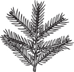 Naklejka premium single detailed fern frond extends upwards from a central stem.