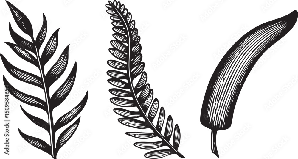 Poster three distinct leaves are arranged in a linear composition.