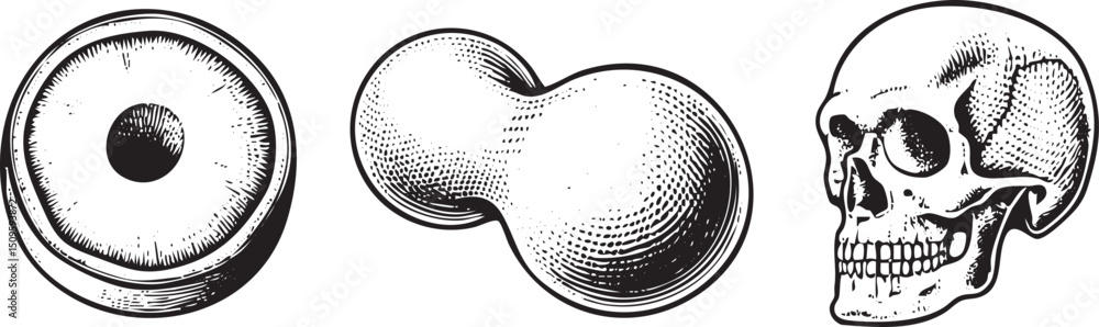 Poster monochrome depicts a circular object a spherical form and a skull.