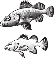 stylized of two fish facing forward.