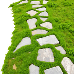 Natural stone pathways with greenery on isolated background.