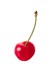 さくらんぼ（1個）