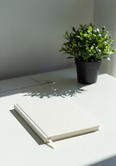 Sunlit Minimalist Workspace with Blank Notebook and Plant