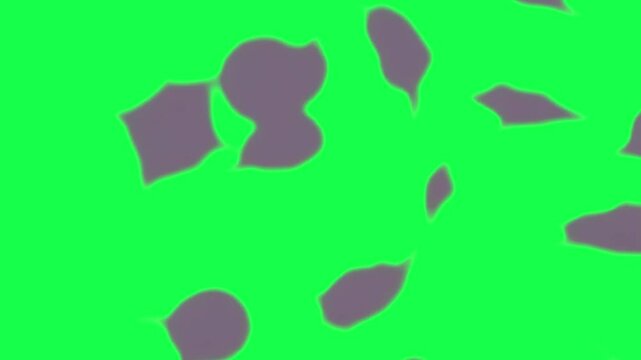 Abstract gray pattern animation, transparent 4K video, green screen