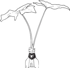 Plant inside the bottle