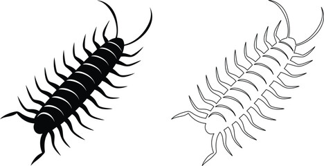 Centipede Silhouette and Outline Illustration on White Background for Design
