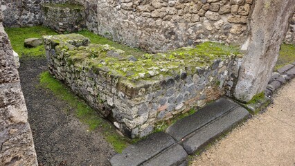Pompeii, Italy - 8 January 2025. Moss-covered stone foundations of a small room at Pompeii, with...