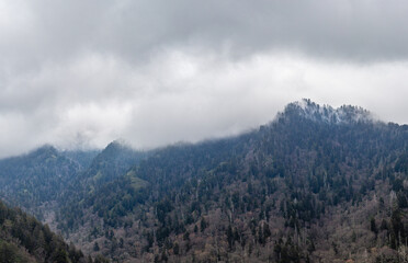 Misty Mountain Landscape