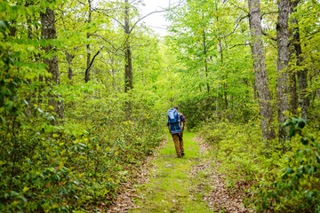Father Walking Wooded Trail with Baby in Backpack