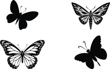 Fototapeta premium Diverse Black and White Butterfly Silhouettes and Illustrations set.