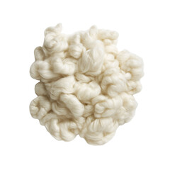 Fresh, natural human brain texture isolated on a white background