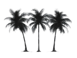 Three palm trees are standing in a row