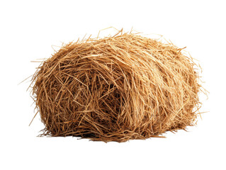 A pile of straw is on a white background