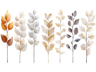 A series of leaves with varying shades of brown and white