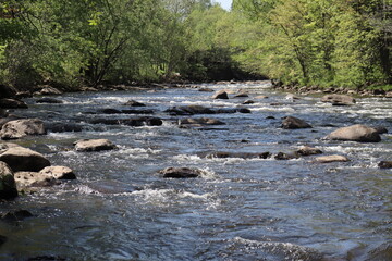 River in the forest. Waterfall and river. Summer calendar and rapids in the nature with trees. Water and natural drink. The current of the water in a river. Stones and waterfalls. The St-Charles river