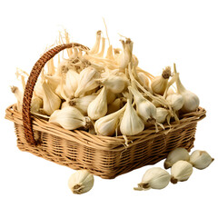 Colorful Ramphals PNG Cutout Isolated On Transparent Backdrop Sitting Inside A Straw Basket With Vibrant Feathers