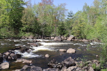 River in the forest. Summer calendar and rapids in the nature with trees. Drinking water of a city. The current of the water and stones with waterfalls. The St-Charles river in Quebec and in spring.